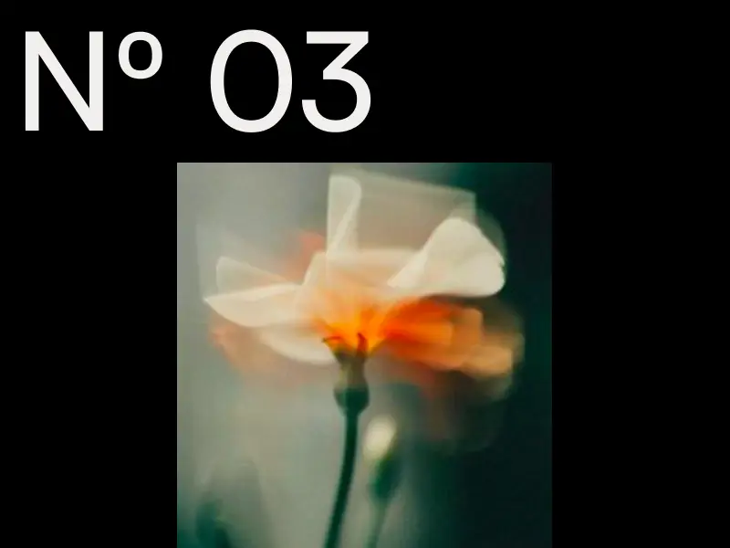 The Creative Website Guide